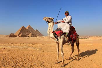 <b>Egypt, Giza</b>, Camel in front of Pyramids